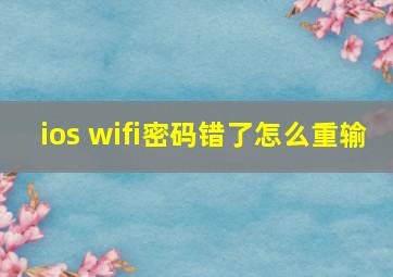 ios wifi密码错了怎么重输